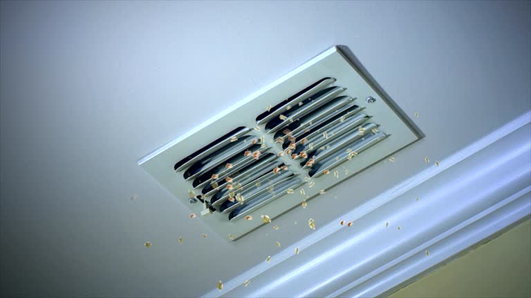 Best Air Duct Cleaning Near Me  in Boyceville, WI