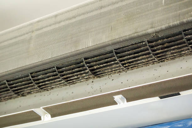Best Residential Air Duct Cleaning  in Boyceville, WI