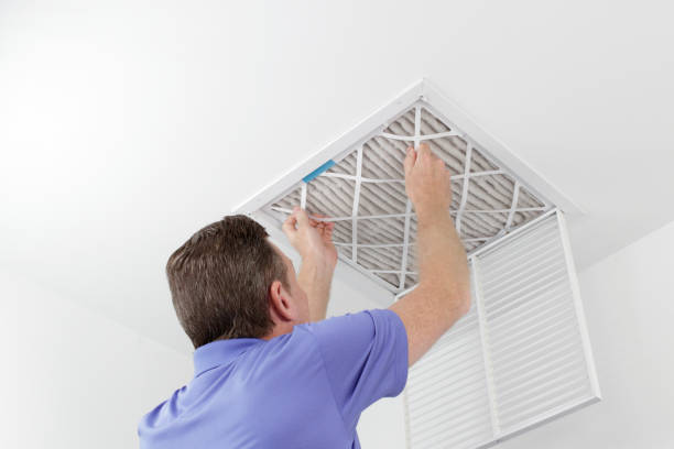 Best Air Vent Cleaning Services  in Boyceville, WI